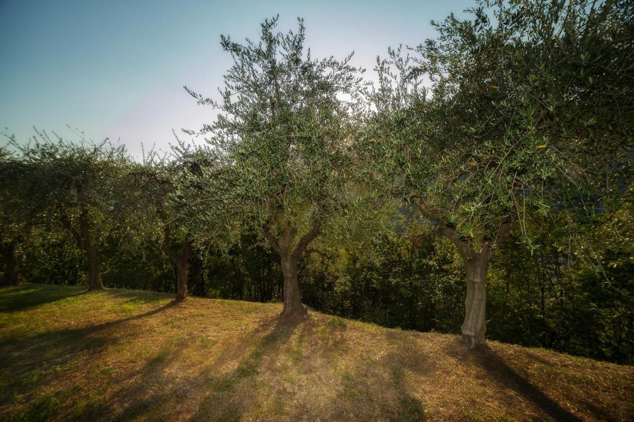 Gratacasolo Villa D'Epoca Le Capele מראה חיצוני תמונה